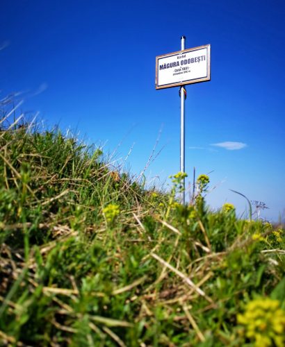 61169825_2506537922770395_1664721666002911232_o