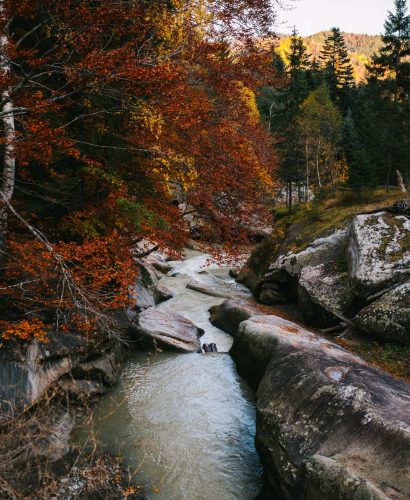 72296707_740343253082270_4794887543495589888_o