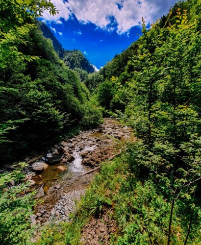 Cheile-Tisitei-Romania-Lipa-Lipa-141-of-410_788x1050